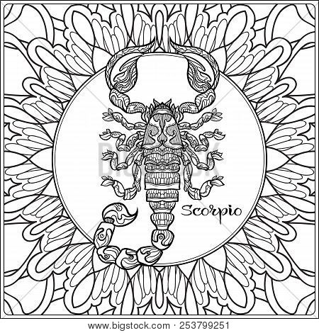 Scorpio decorative vector photo free trial bigstock