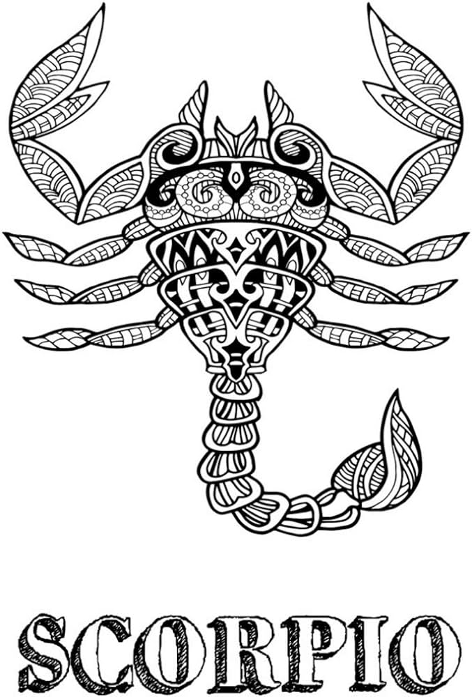 Scorpio coloring book with three different styles of all twelve signs of the zodiac individual coloring pages x zodiac coloring book journals blank slate books