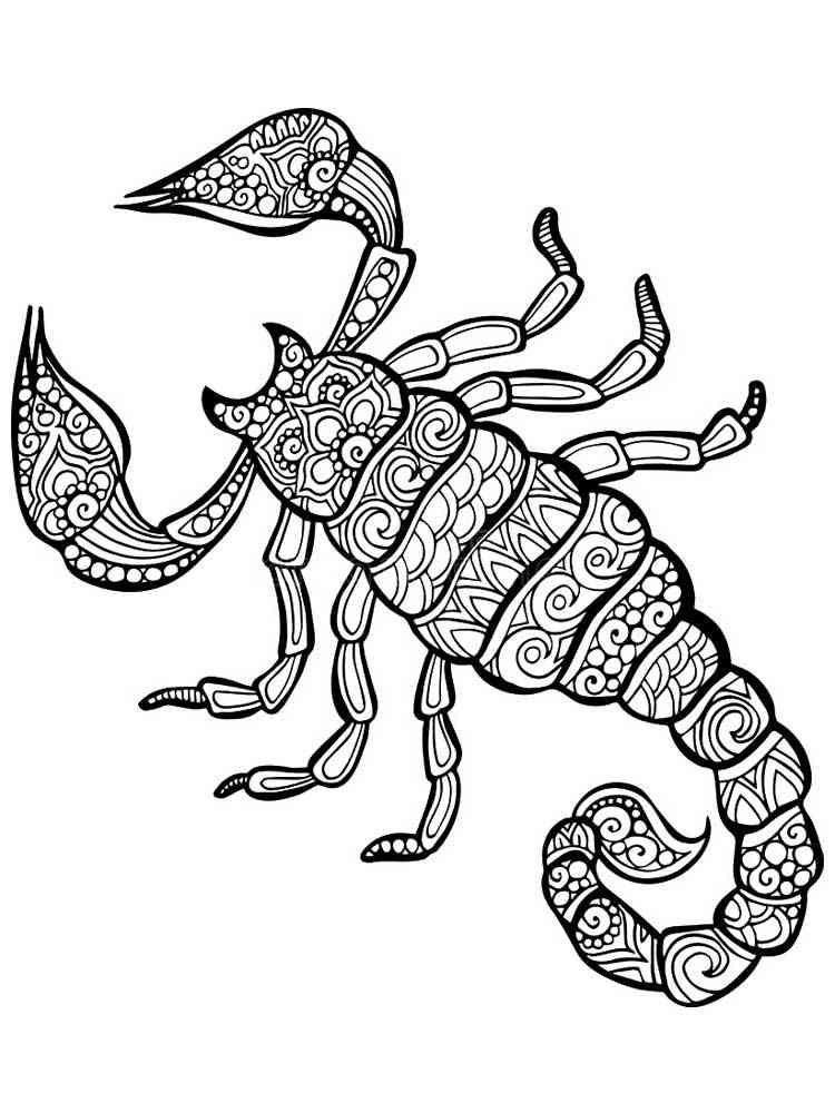 Scorpion coloring pages for adults