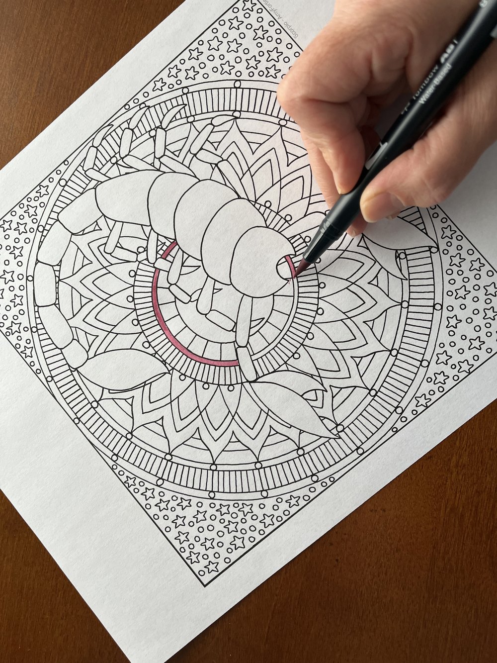 Scorpio downloadable coloring poster â amy fortier