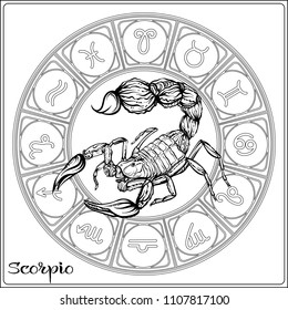 Scorpio zodiac sign astrological horoscope collection stock vector royalty free