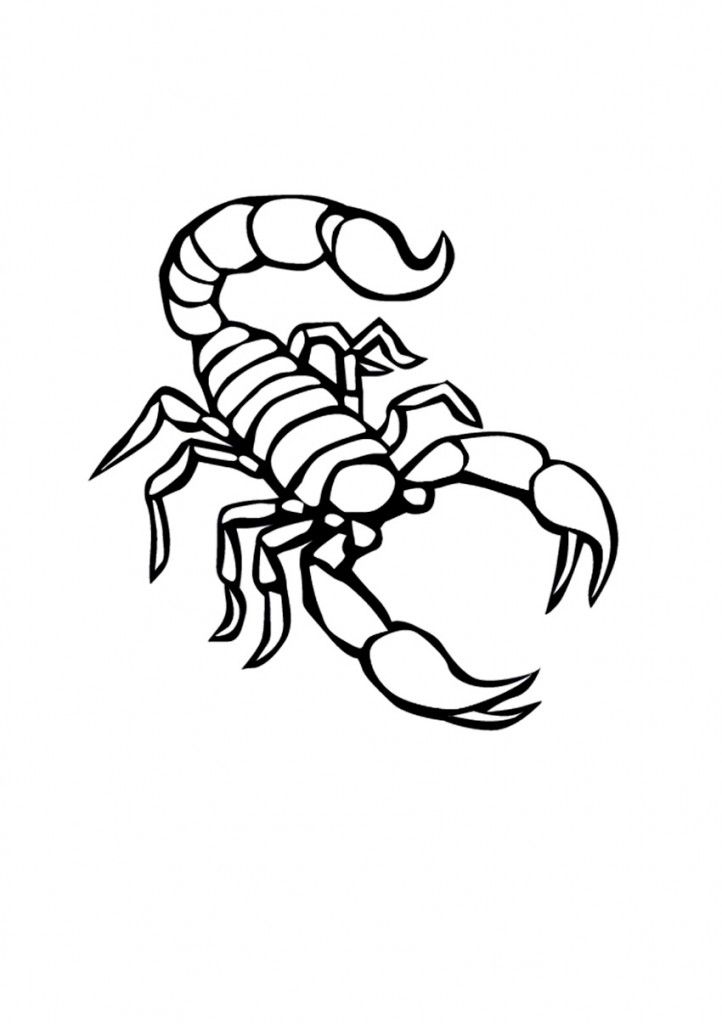 Engage your kids with free printable scorpion coloring pages