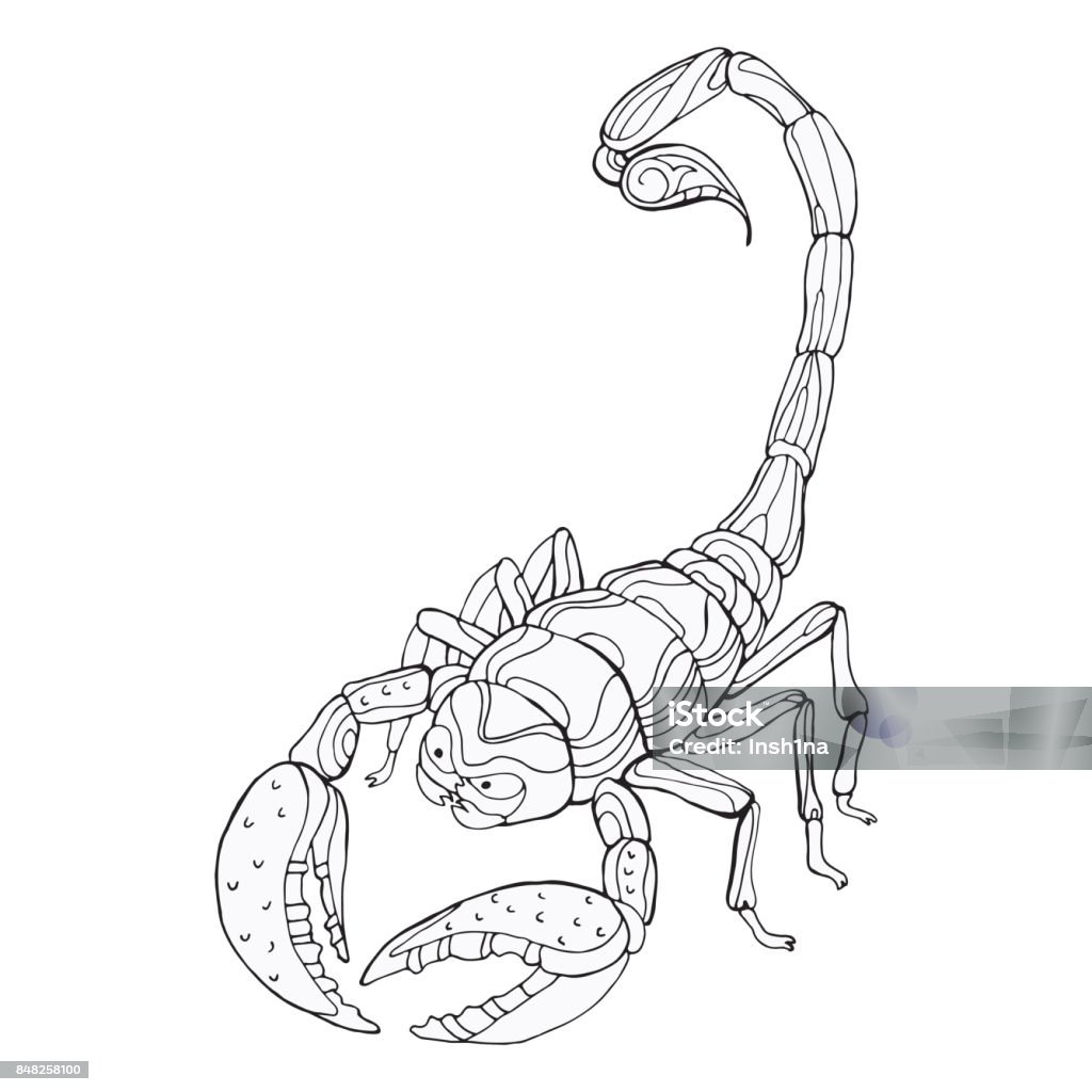 Coloring pages for adults with scorpion stock illustration