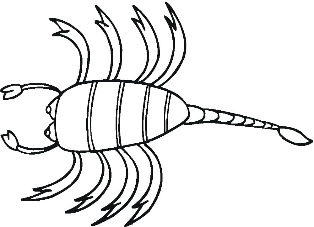 Small scorpion worksheet