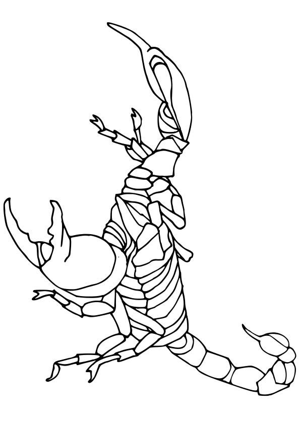 Scorpion drawing for coloring page free printable nurieworld