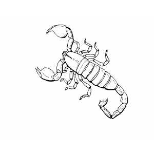 Scorpion coloring page
