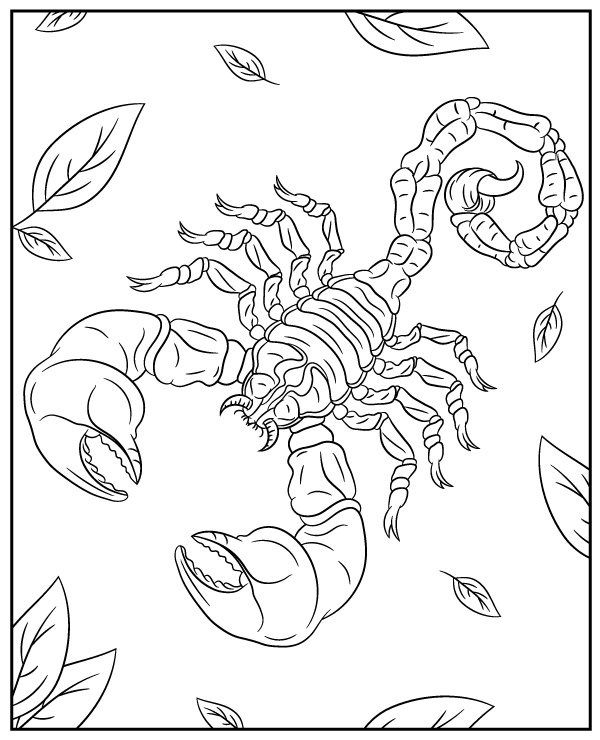 Big scorpion coloring page arachnid