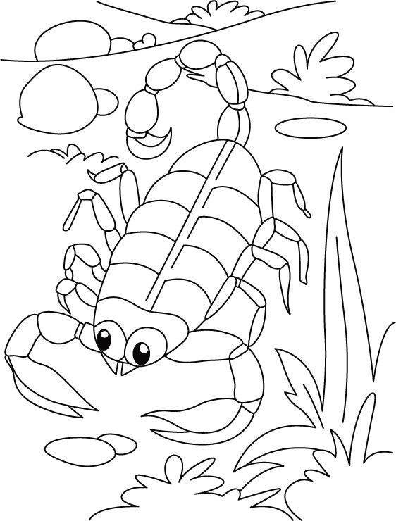 Serpentine scorpion coloring pages download free serpentine scorpion coloring pages for kids best coloring pages
