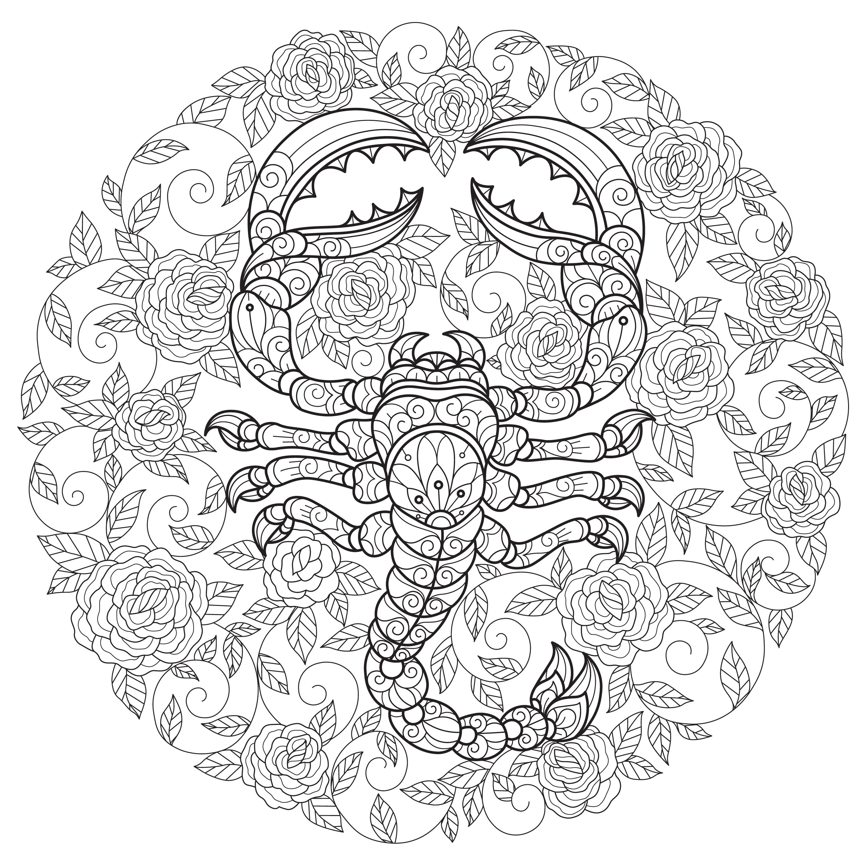 Scorpio and roses digital printable coloring page medium difficulty download now