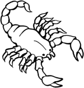 Scorpions coloring pages free coloring pages