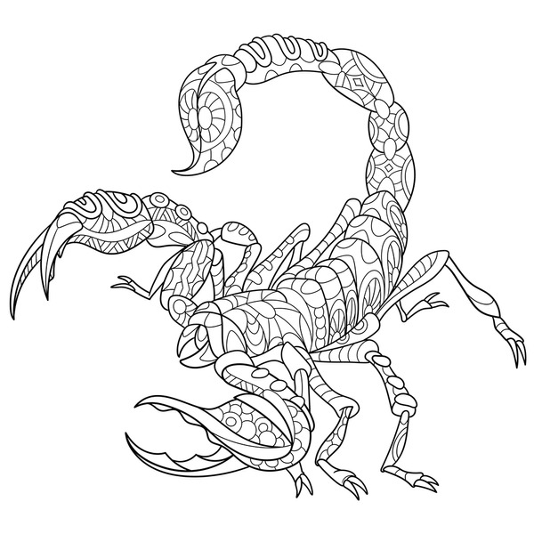 Hundred colouring book scorpion royalty