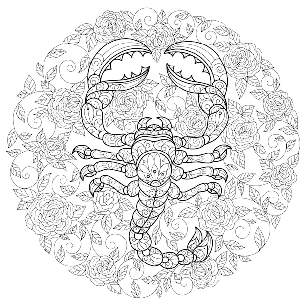 Premium vector scorpion and roses hand drawn sketch illustration for adult coloring book