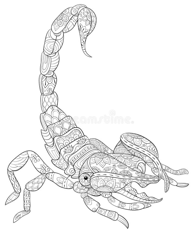 Scorpion coloring stock illustrations â scorpion coloring stock illustrations vectors clipart