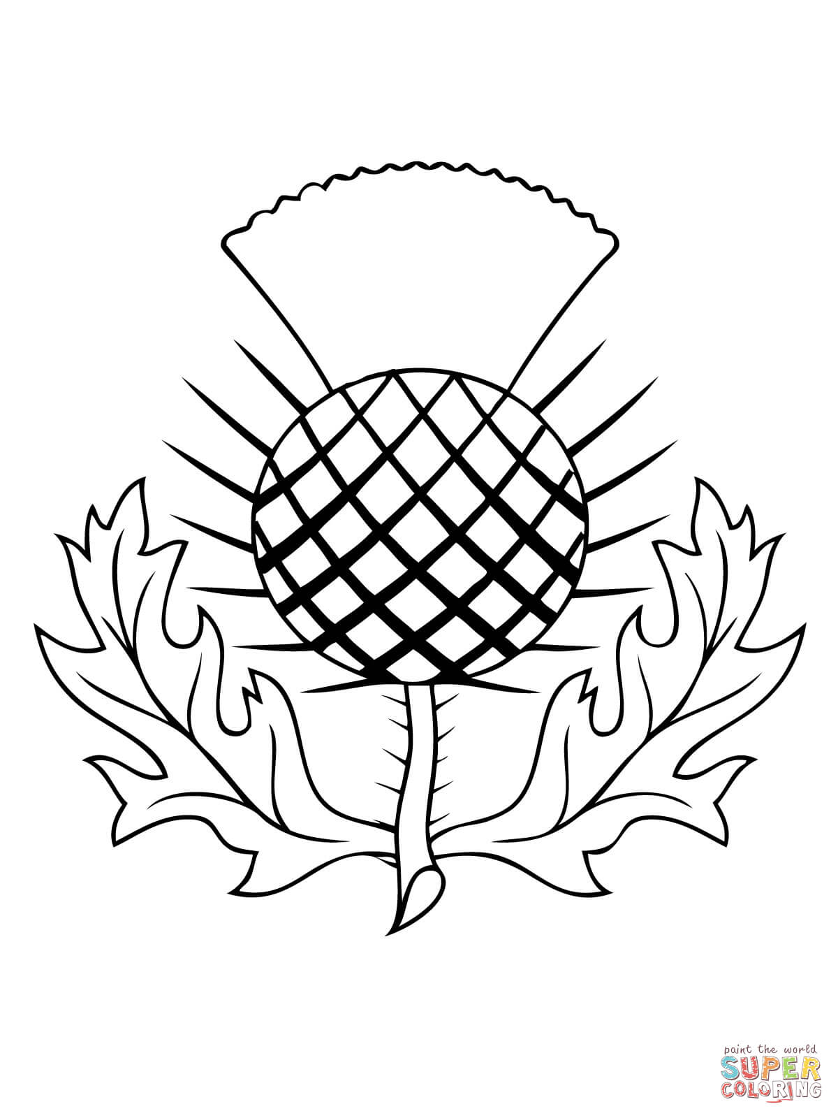 The thistle of scotland coloring page free printable coloring pages