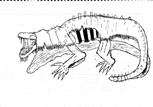 I made some drawings of scp and rscp