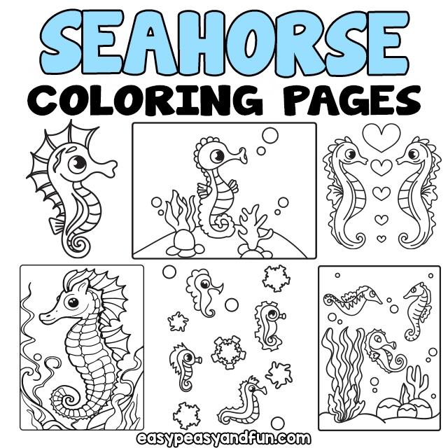 Seahorse crafts archives