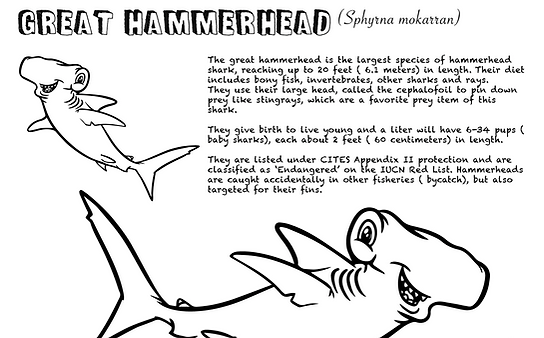 Shark education coloring sheets