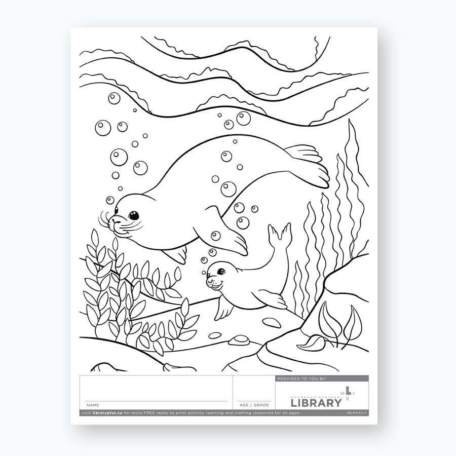 Diving seal and baby colouring sheet â library plus