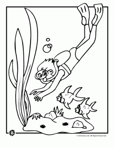 Summer coloring pages animals at the beach animal jr