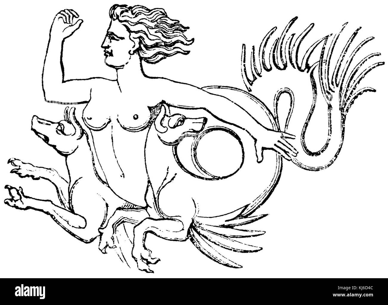 Scylla greek cut out stock images pictures