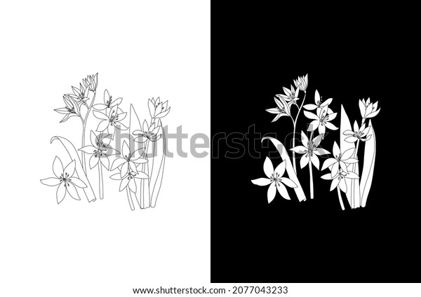 Graphic linear drawing scylla spring flower stock illustration