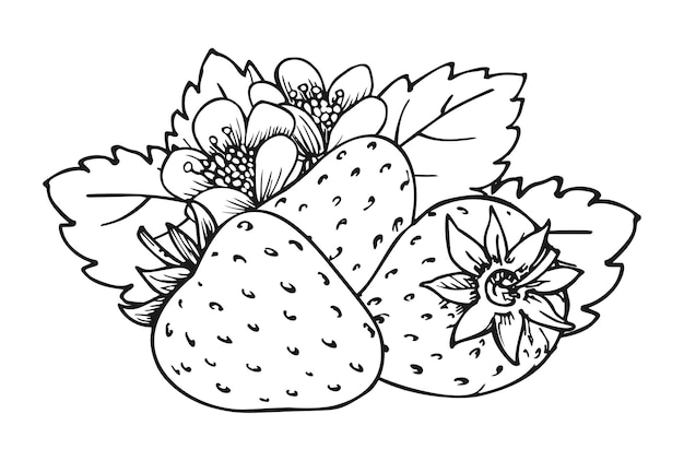 Page carambola coloring pages images