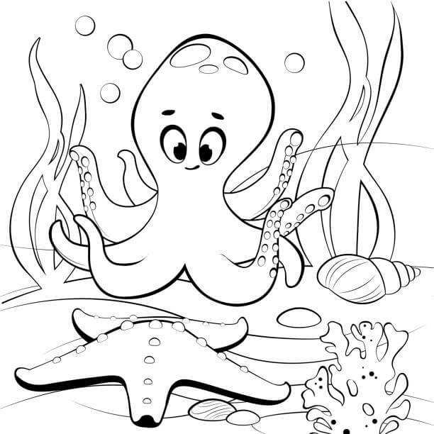 Octopus with sea animal coloring page