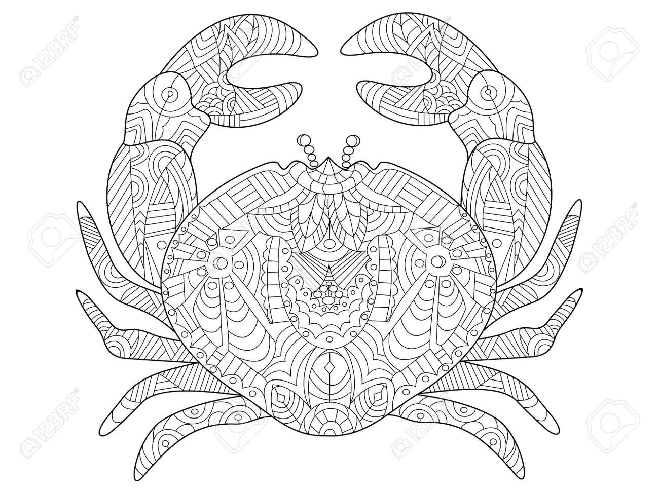 Crab sea animal coloring book for adults vector illustration royalty free svg cliparts vectors and stock illustration image