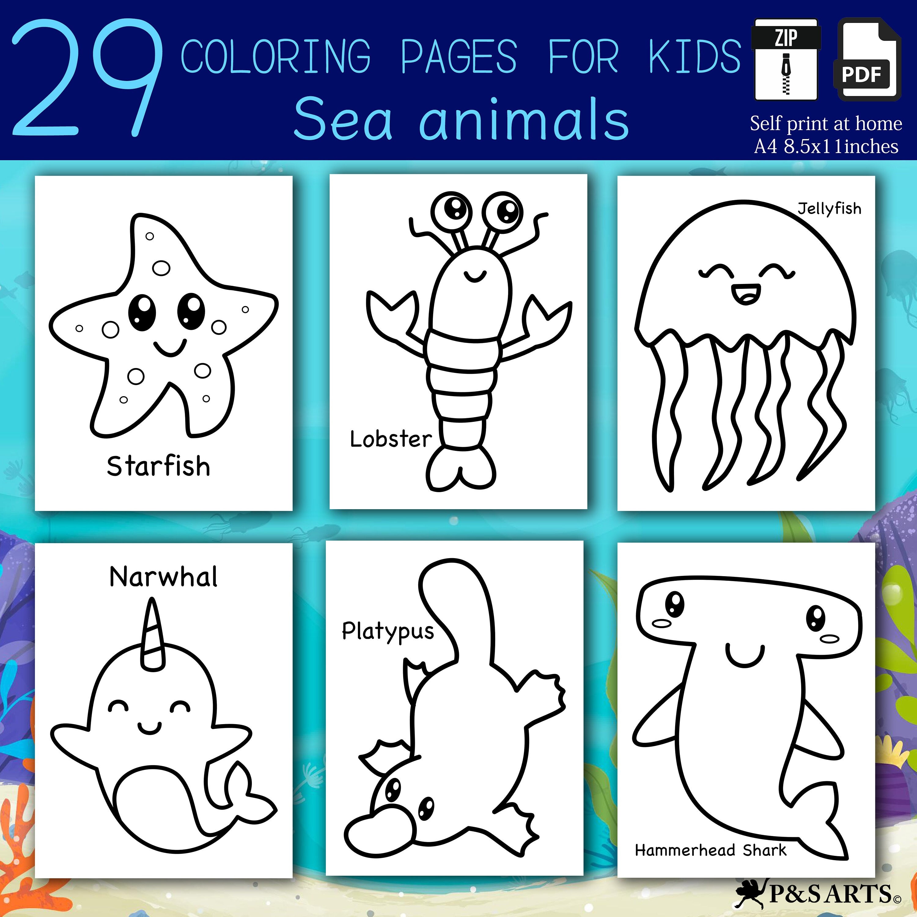 Sea animals simple and jumbo printable coloring pages