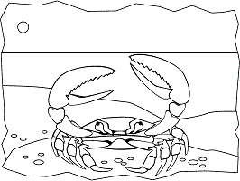 Ocean animals coloring pages and printable activities