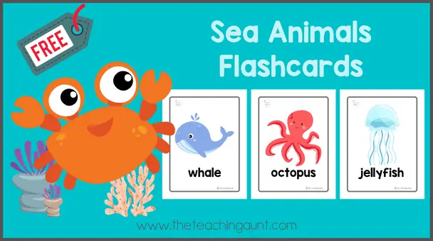 Sea animals flashcards