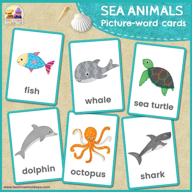 Sea animals flashcards