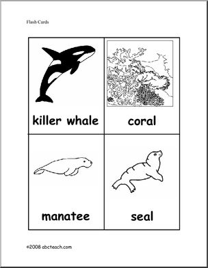 Flashcards ocean animals elem