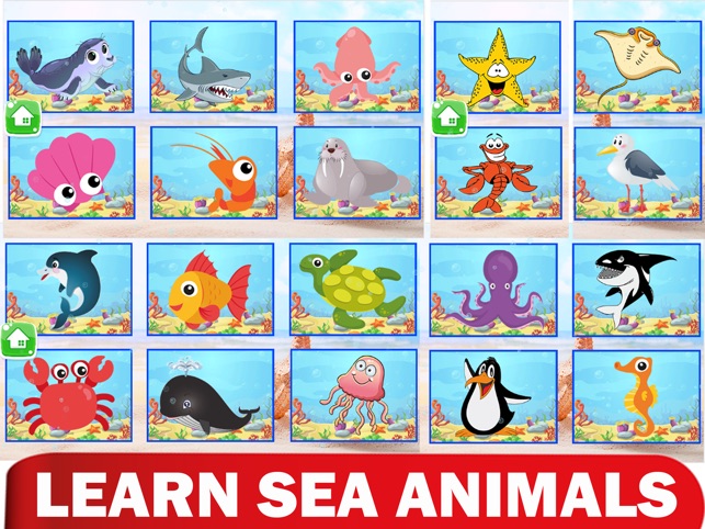 Coloring sea animal vocabulary on the app store