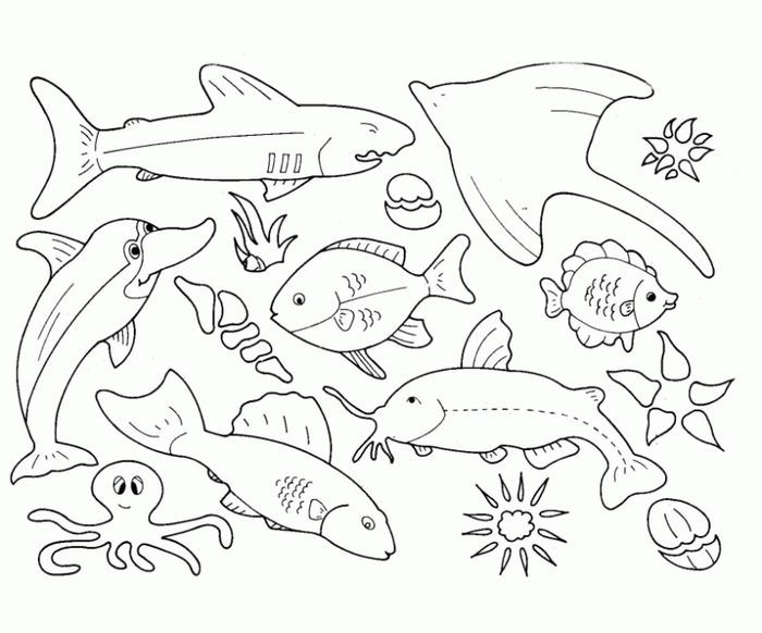 Sea animals coloring pages pdf