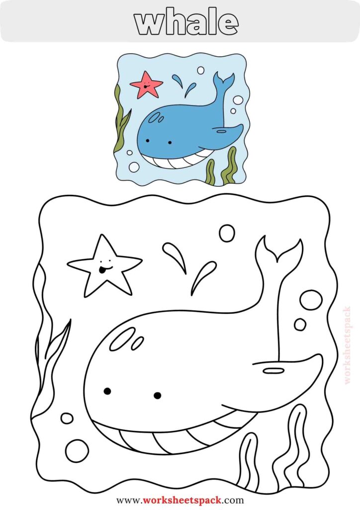 Free sea animals coloring pages