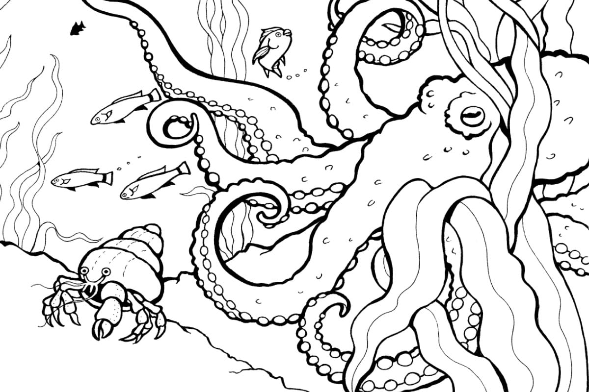 Coloring pages activities monterey bay aquarium