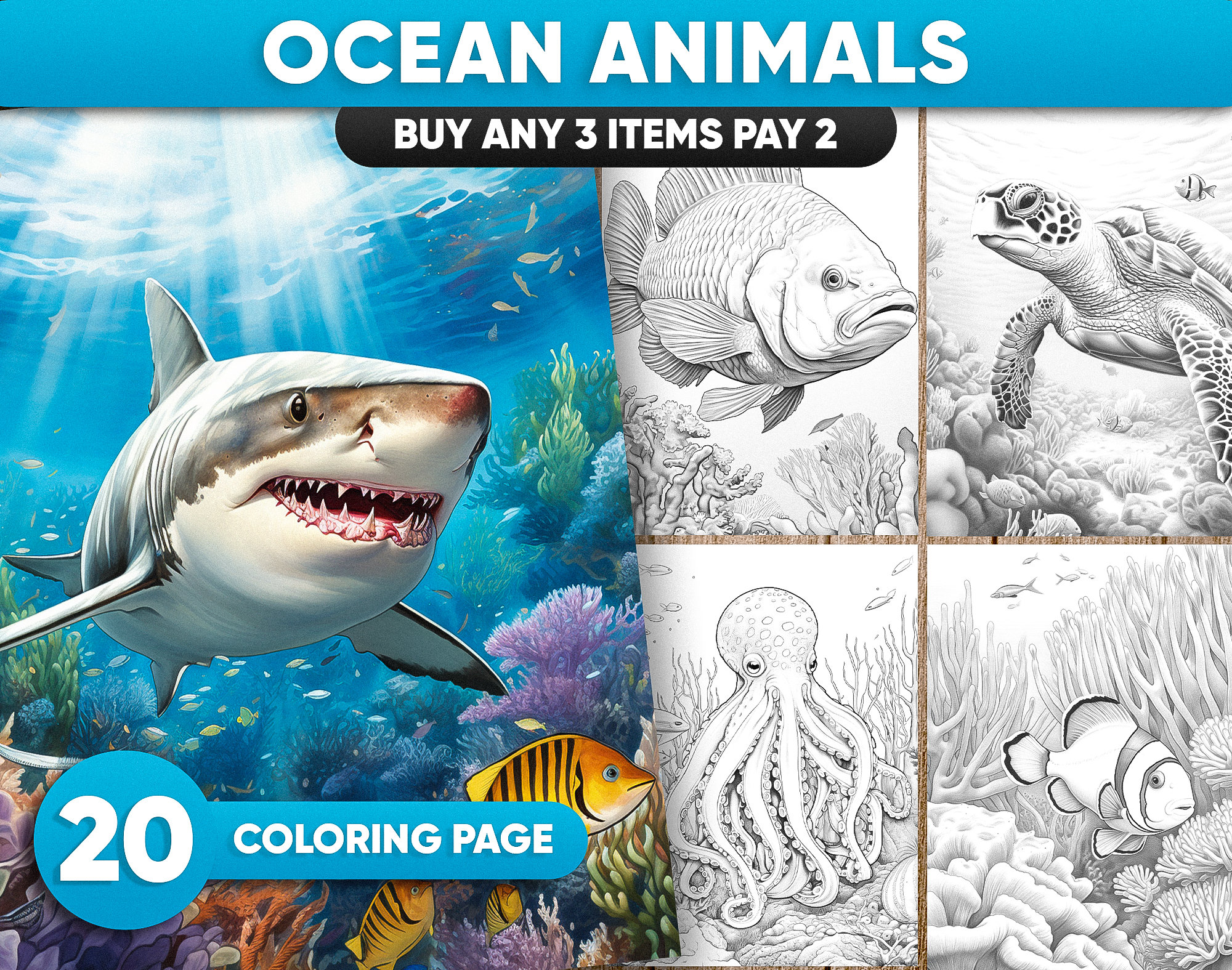 Ocean animals grayscale coloring pages for adults jpg and pdf file instant download printable coloring pages