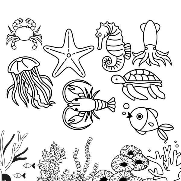 Sea animals lourg pages prtables pdf png