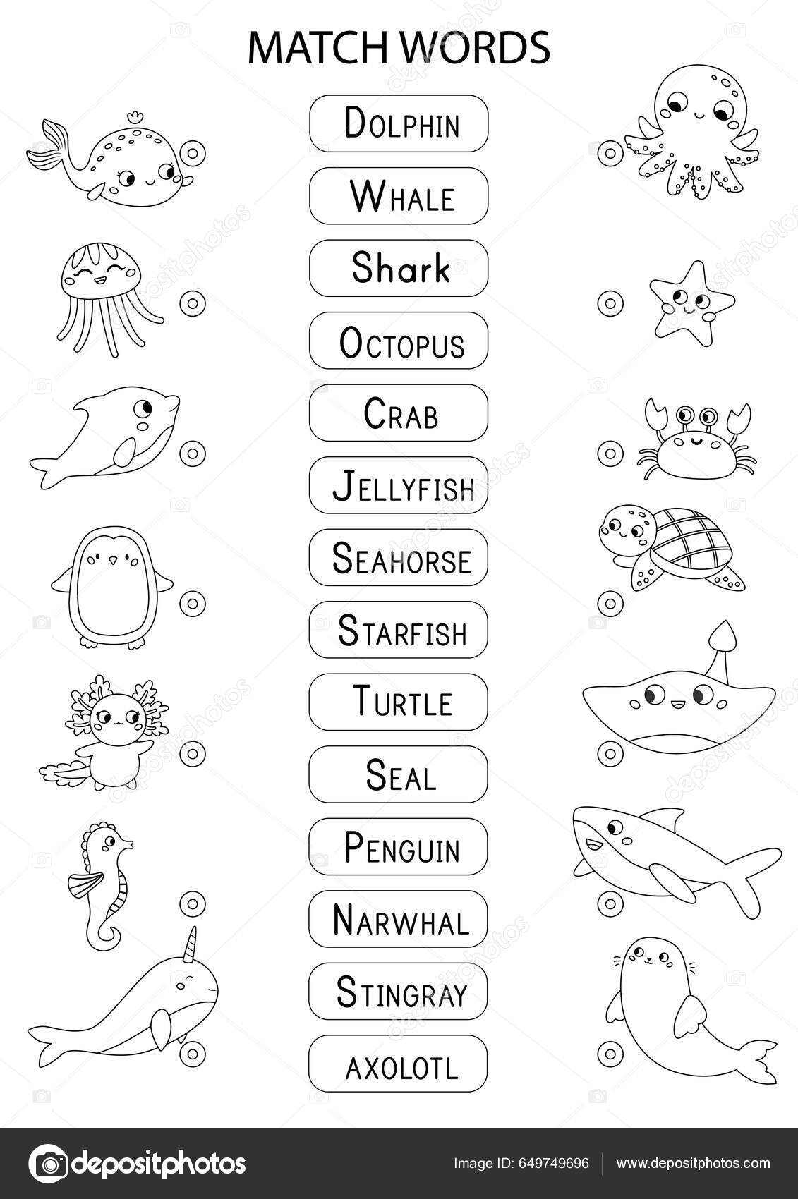 Match words correct pictures coloring page cute sea ocean animals stock vector by kristina