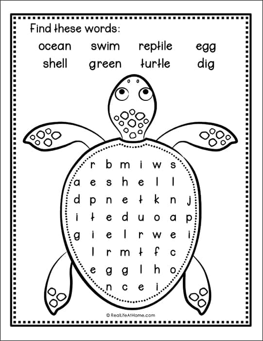 Sea turtle word search
