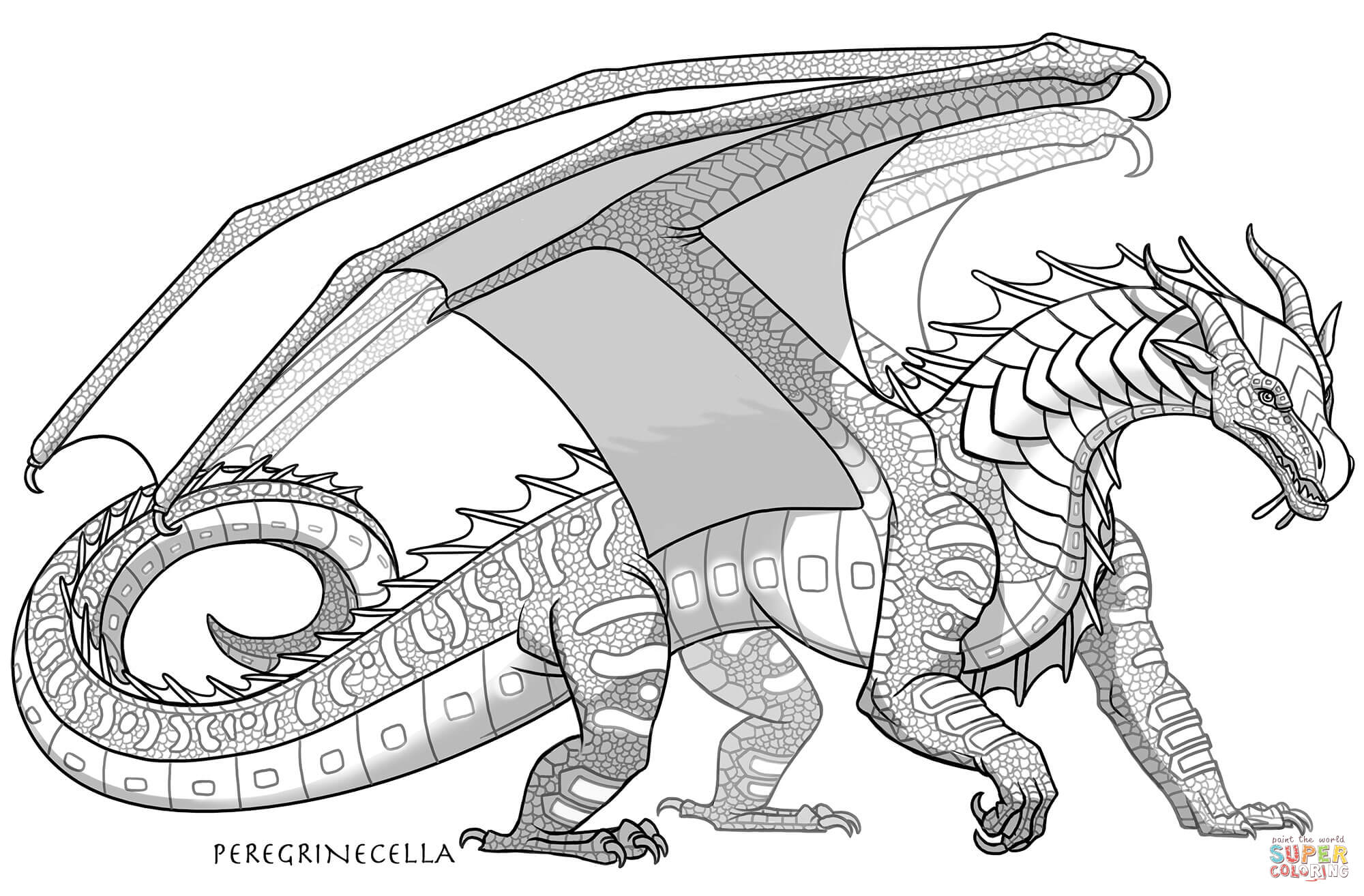Seawing dragon coloring page free printable coloring pages
