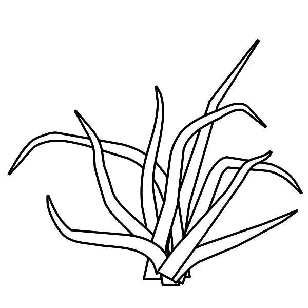 Broken grass coloring pages color luna coloring pages ocean coloring pages grass drawing