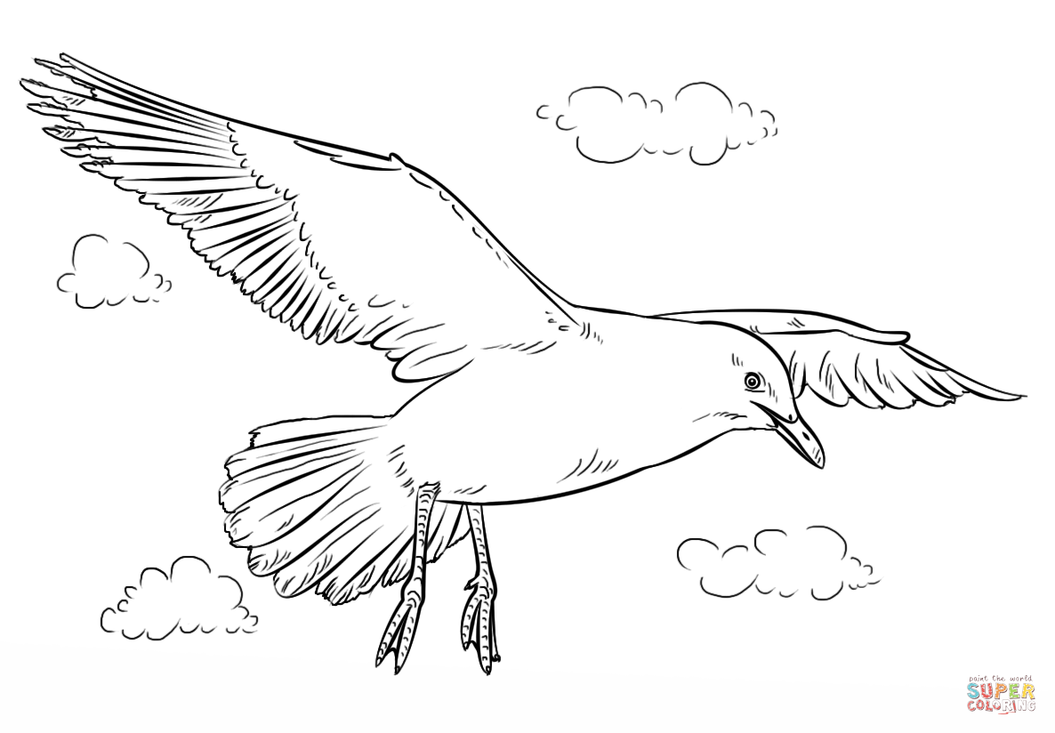 Seagull in flight coloring page free printable coloring pages