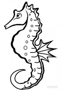 Realistic seahorse coloring pages horse coloring pages seahorse drawing animal coloring pages