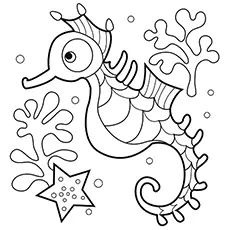 Top free printable seahorse coloring pages online horse coloring pages fish coloring page animal coloring pages