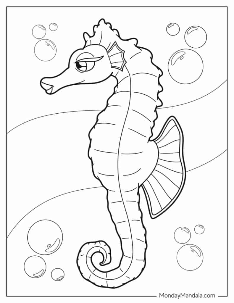 Seahorse coloring pages free pdf printables