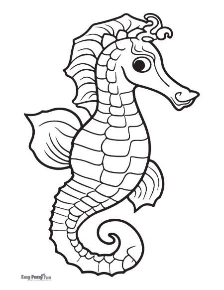 Printable seahorse coloring pages â sheets