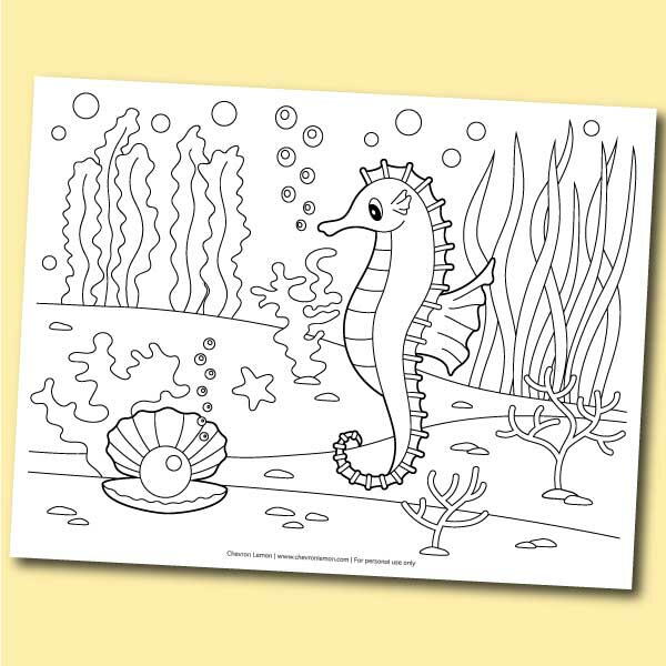 Seahorse coloring page