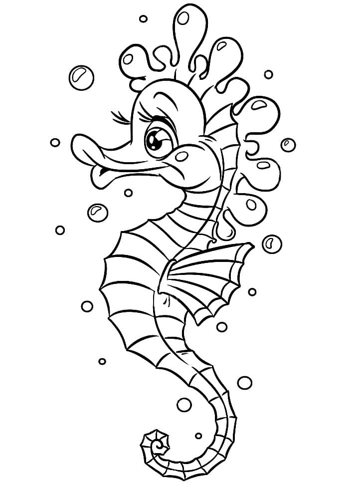 A beautiful seahorse coloring page